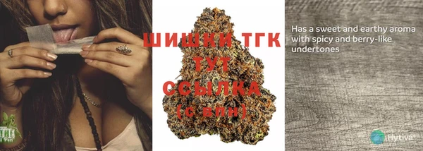бошки Абаза