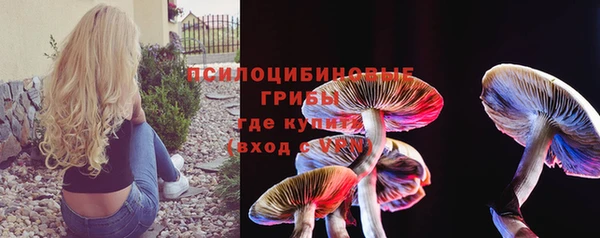 тгк Абдулино